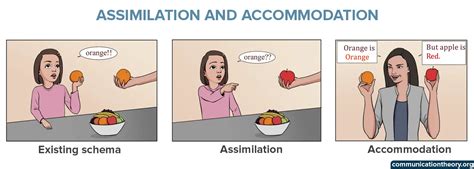 piaget assimilation and accommodation theory.